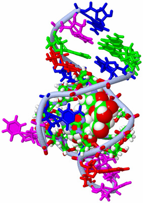 Image NMR Structure - model 1, sites