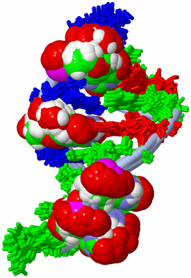 Image NMR Structure - all models