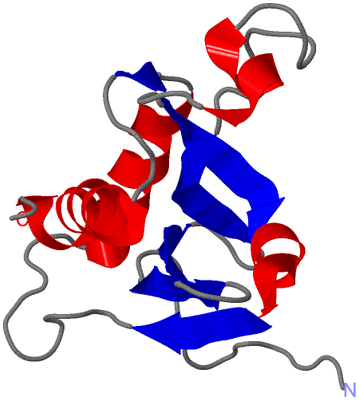 Image NMR Structure - model 1