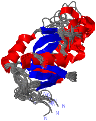 Image NMR Structure - all models