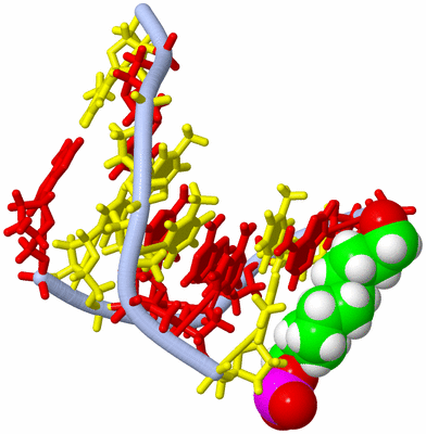 Image NMR Structure - model 1