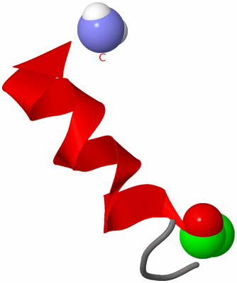 Image NMR Structure - model 1