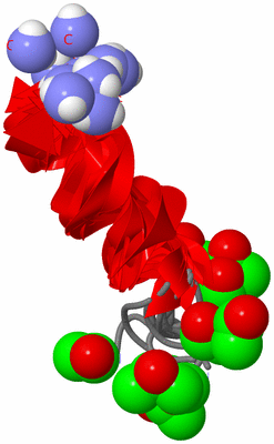 Image NMR Structure - all models