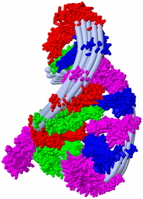 Image NMR Structure - all models