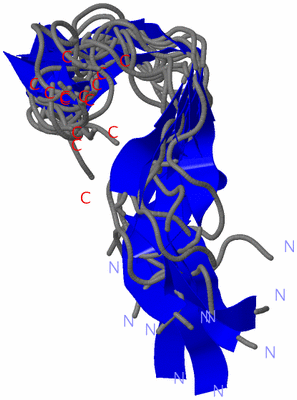 Image NMR Structure - all models