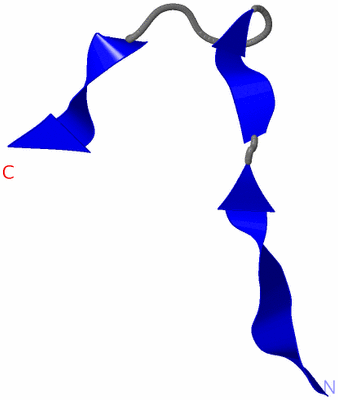 Image NMR Structure - model 1