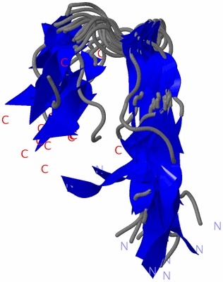 Image NMR Structure - all models