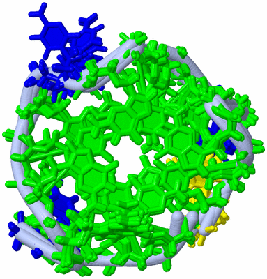 Image NMR Structure - all models