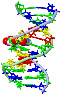 Image NMR Structure - model 1