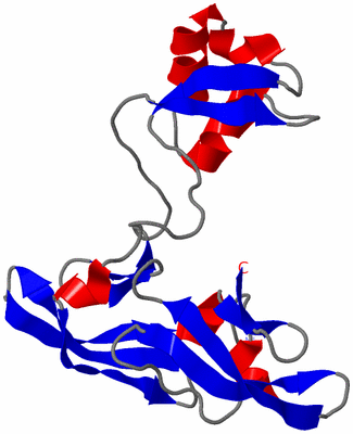 Image NMR Structure - model 1