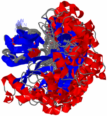 Image NMR Structure - all models