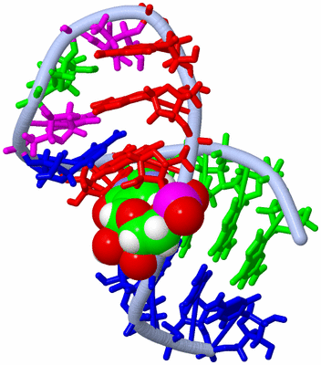 Image NMR Structure - model 1