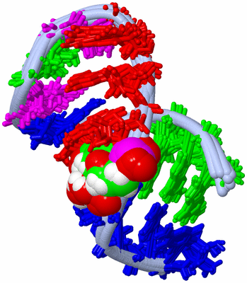 Image NMR Structure - all models