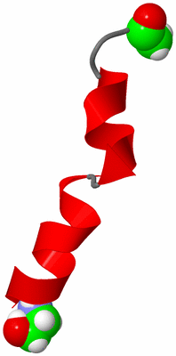 Image NMR Structure - model 1