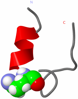 Image NMR Structure - model 1