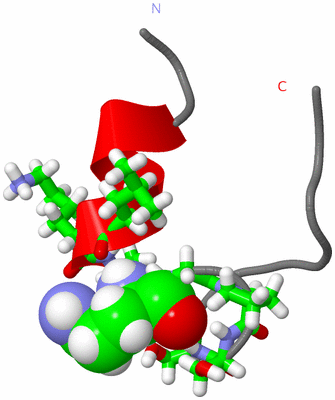 Image NMR Structure - model 1, sites