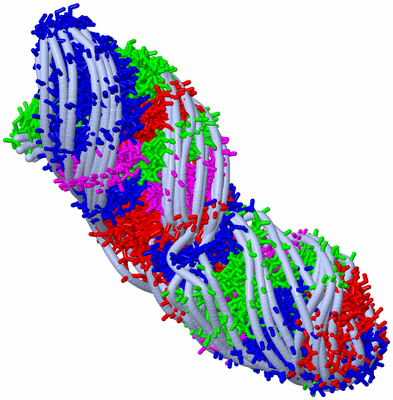 Image NMR Structure - all models