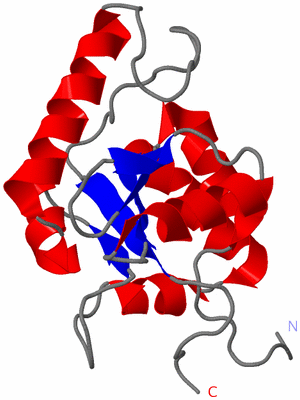 Image NMR Structure - model 1