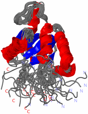 Image NMR Structure - all models