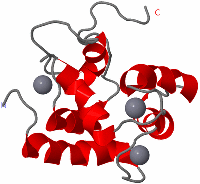 Image NMR Structure - model 1