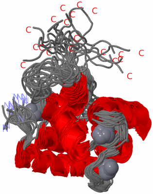 Image NMR Structure - all models