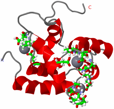 Image NMR Structure - model 1, sites