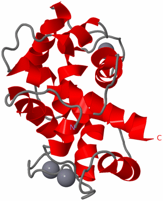 Image NMR Structure - model 1