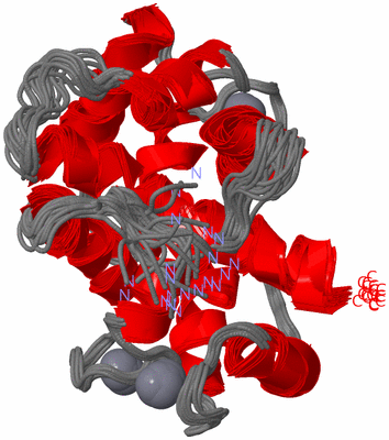 Image NMR Structure - all models