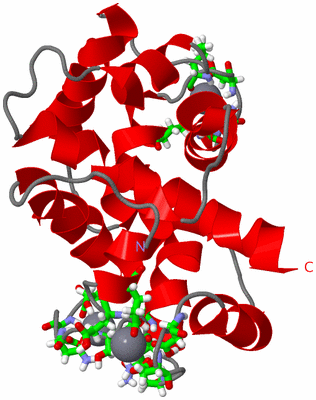 Image NMR Structure - model 1, sites