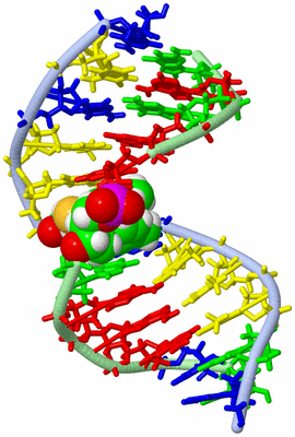 Image NMR Structure - model 1