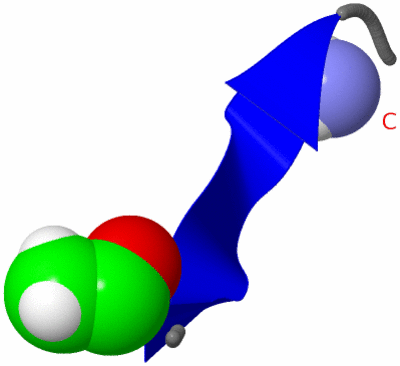 Image NMR Structure - model 1