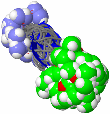 Image NMR Structure - all models