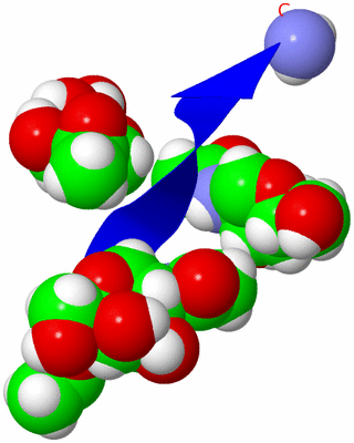 Image NMR Structure - model 1