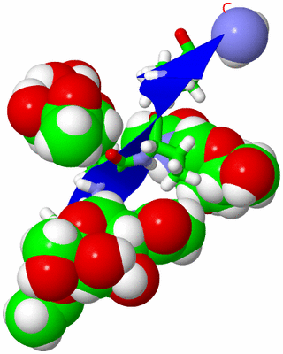 Image NMR Structure - model 1, sites