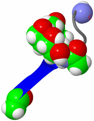 Image NMR Structure - model 1