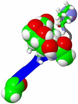 Image NMR Structure - model 1, sites