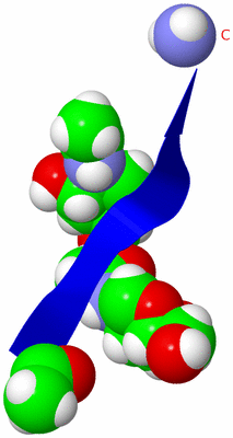 Image NMR Structure - model 1