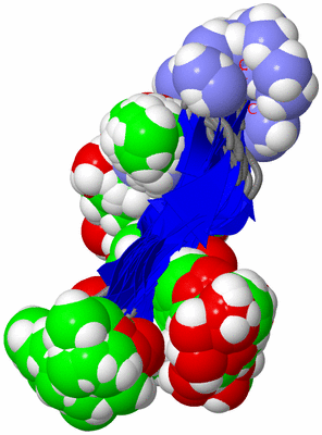 Image NMR Structure - all models