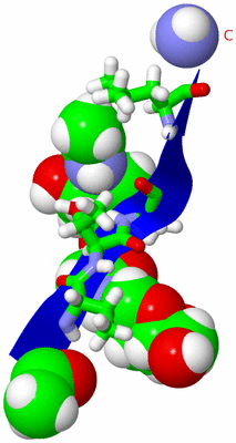 Image NMR Structure - model 1, sites