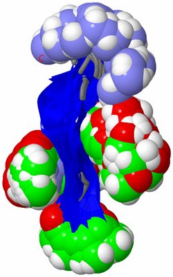 Image NMR Structure - all models