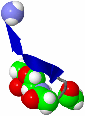 Image NMR Structure - model 1