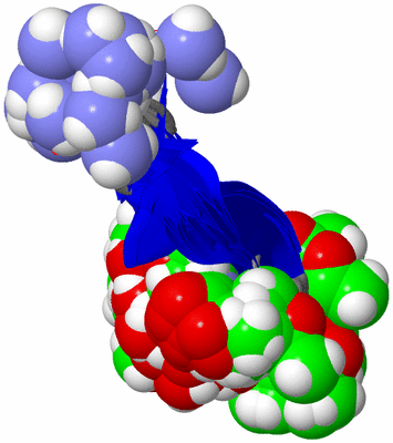 Image NMR Structure - all models