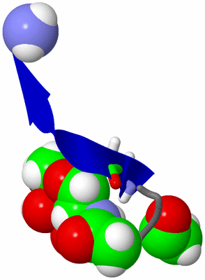 Image NMR Structure - model 1, sites