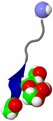 Image NMR Structure - model 1