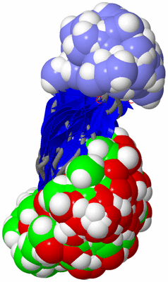 Image NMR Structure - all models