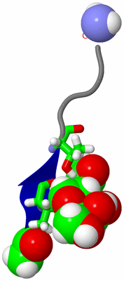 Image NMR Structure - model 1, sites