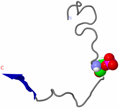 Image NMR Structure - model 1