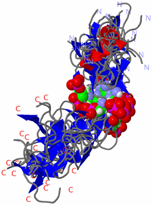 Image NMR Structure - all models