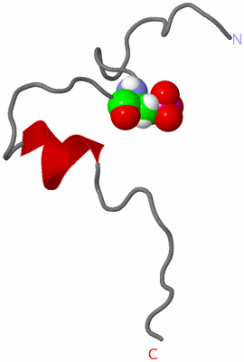 Image NMR Structure - model 1