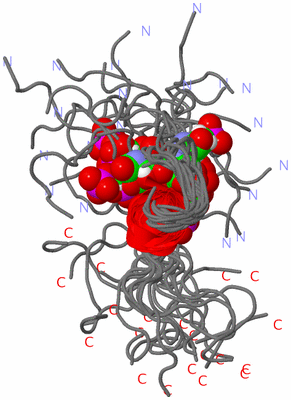 Image NMR Structure - all models